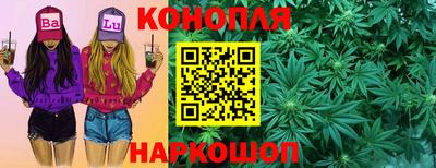 скорость Кингисепп