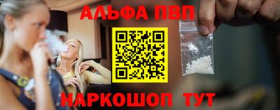 скорость Кингисепп
