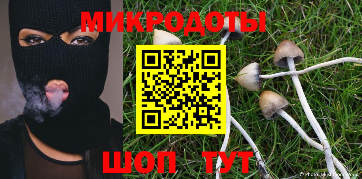 Псилоцибиновые грибы Psilocybe  Псилоцибиновые грибы Psilocybe  Кувандык  Вход с VPN 