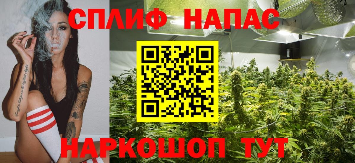 МАРИХУАНА сатива  Вход с VPN  Конопля план  Конопля гибрид  Кувандык 
